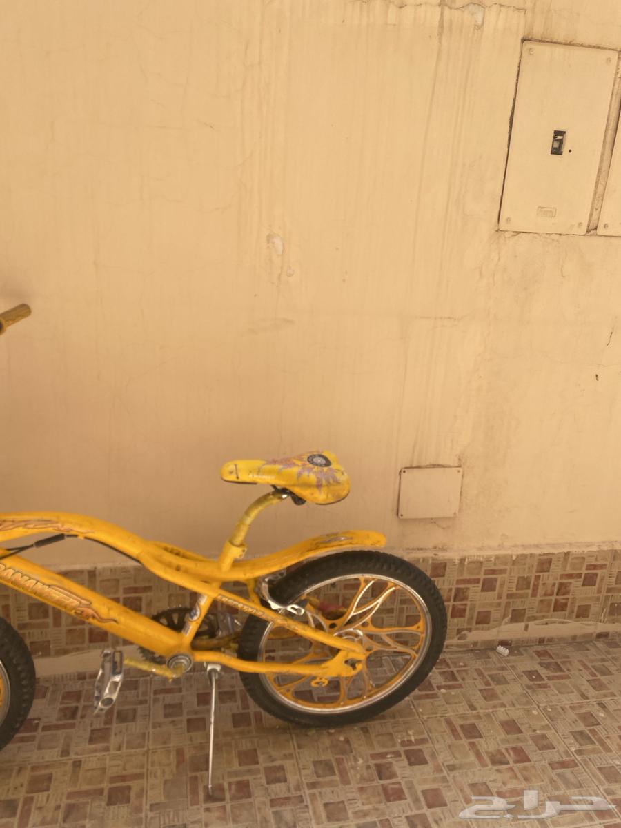 سيكل كوبرا64398061291905112