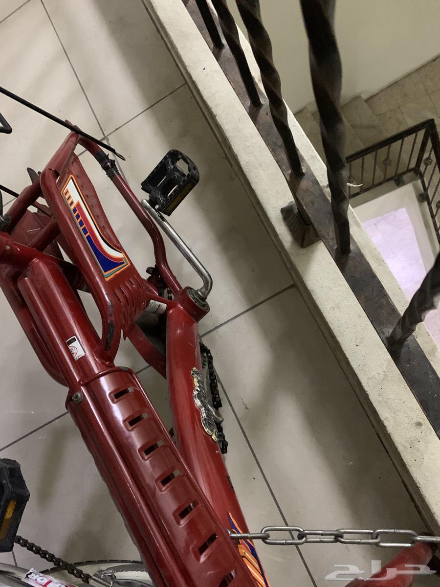 Cycle64393155825155113