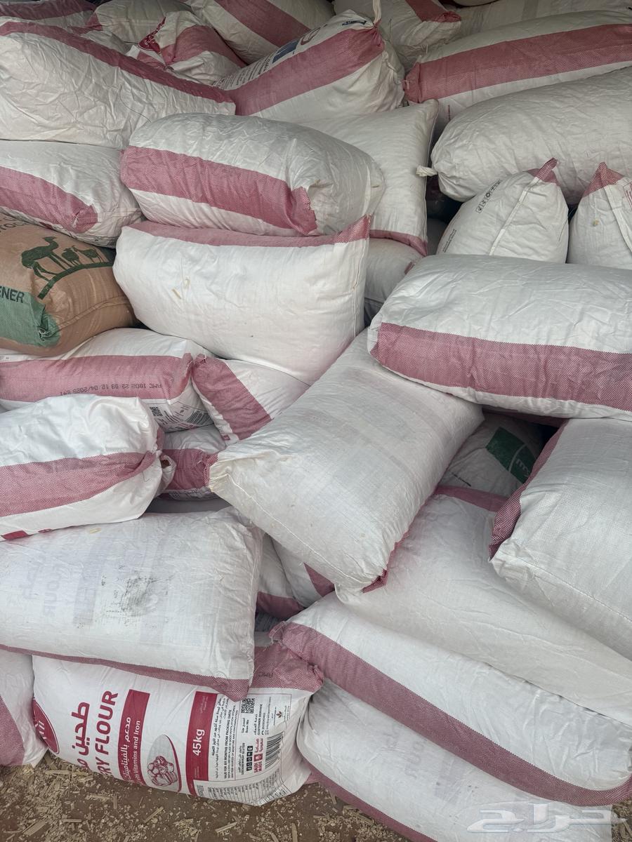 نشارة خشب64396686474115113