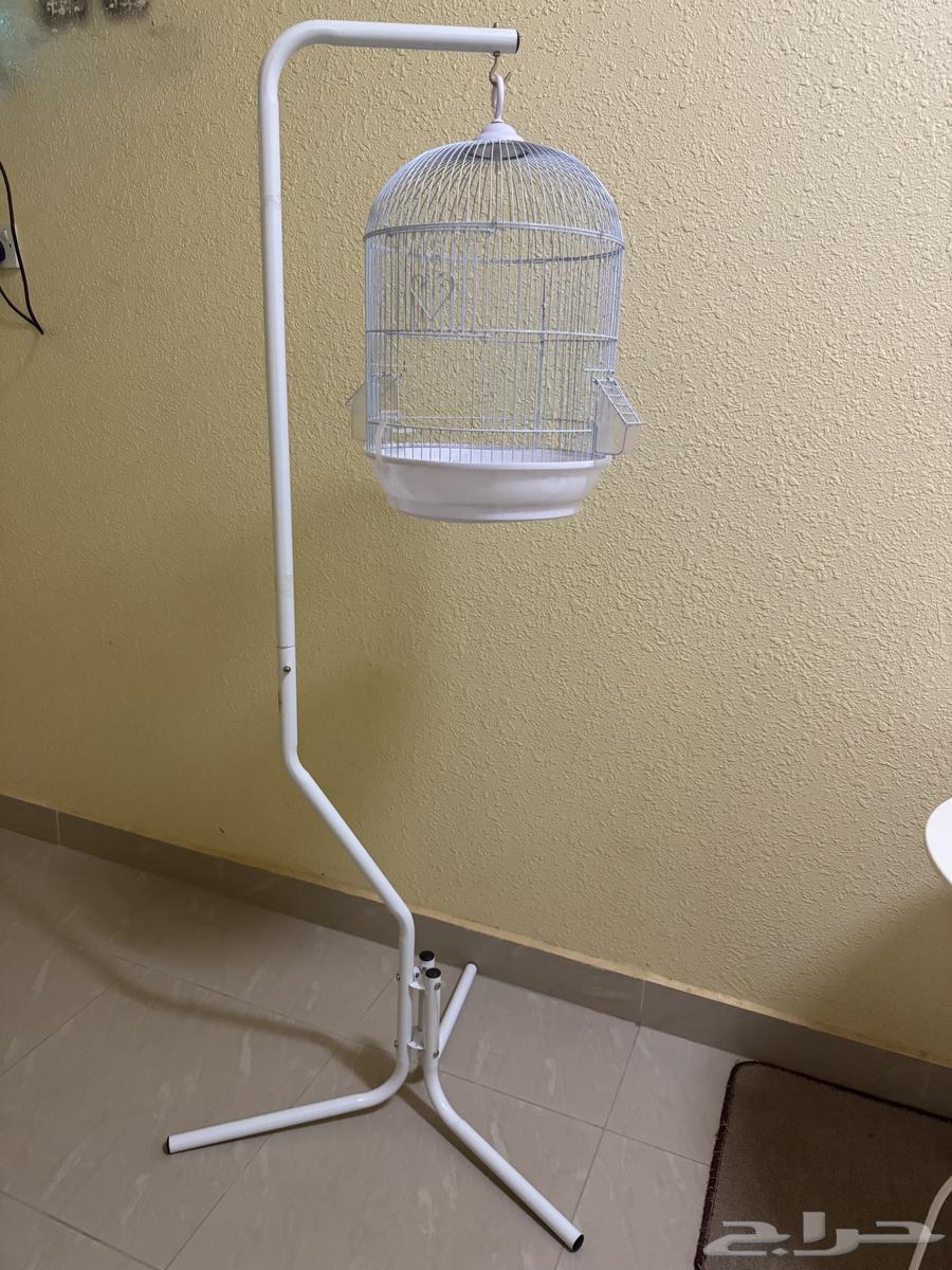 للبيع قفص مع ستاند ابيض64397687205250111