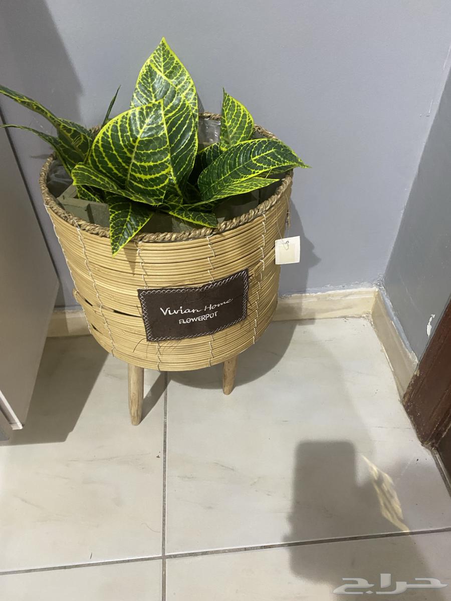 Clean parking64399995587331110