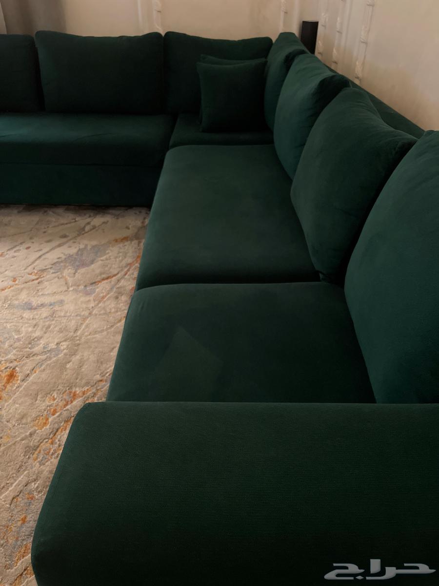 كنب تفصيل لون اخضر غامق64395074856451111