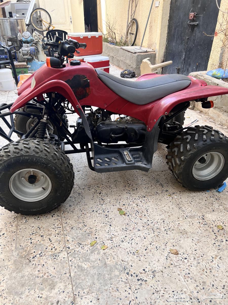 دباب سويدي 11064547165665025113