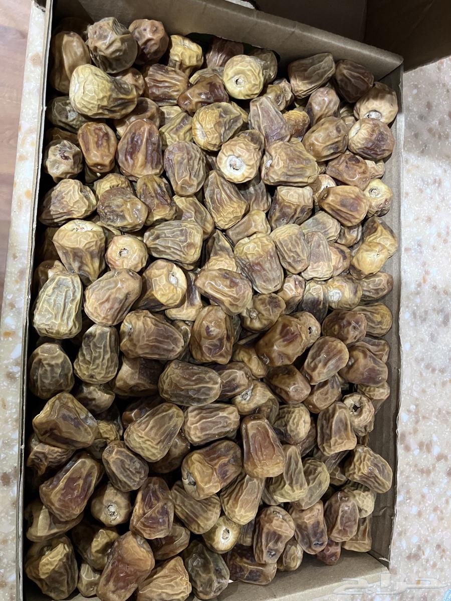 Dates64394468830593110