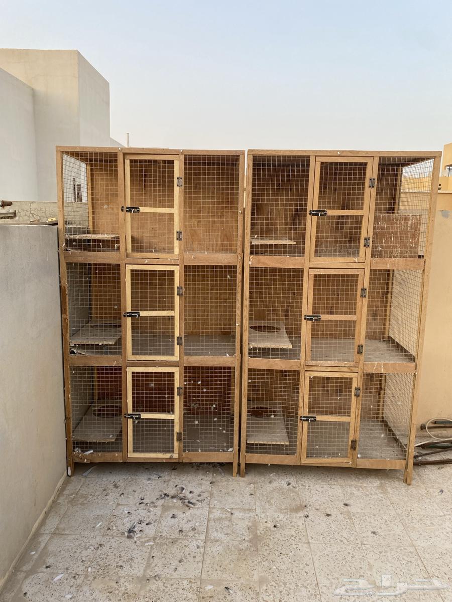 Clean hideout in Riyadh Dirab64395476310785110