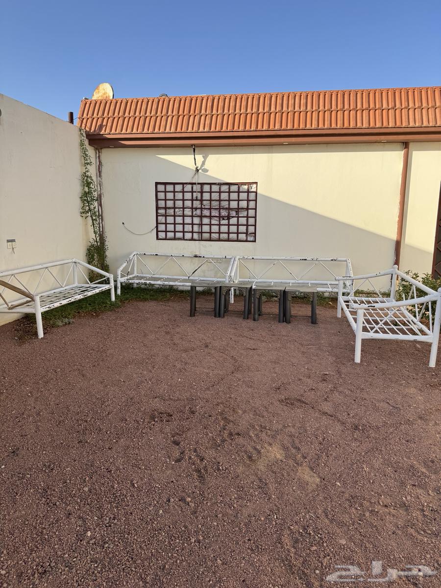 جلسات حديد اصليه مع مساندهم64398061340675110