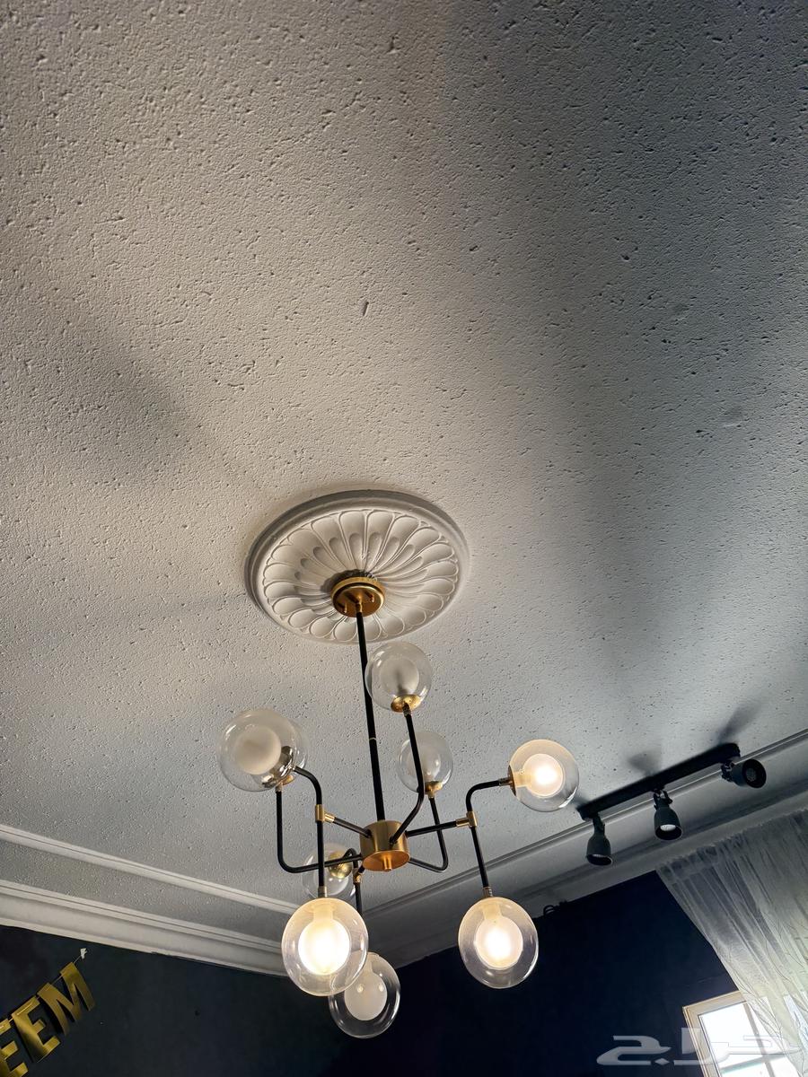 نجفه سوداء من أبيات ( نظيفه )64395601063171111