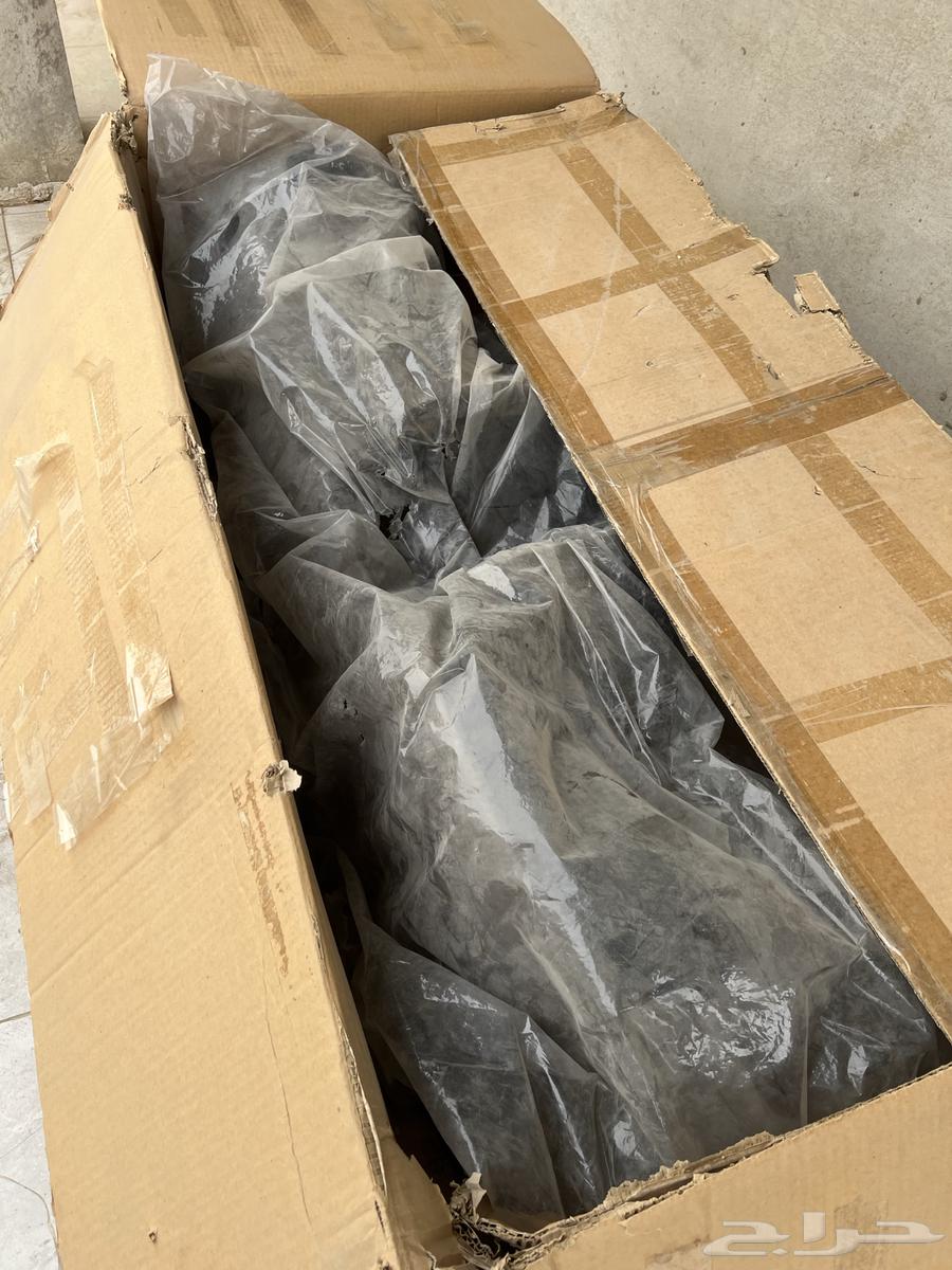 New Genuine Maxima Drum Shell from Agency (Rare Piece)64538690441473114