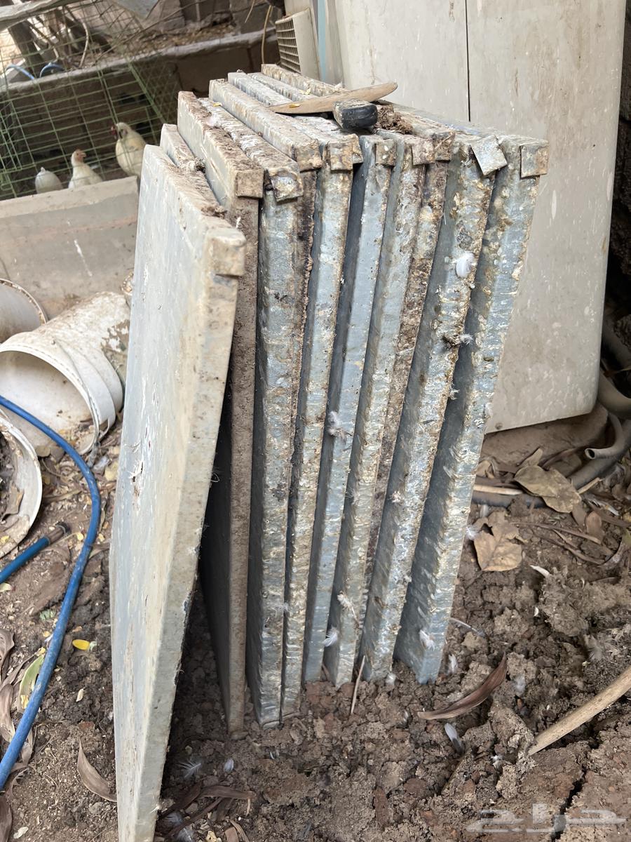 محاكر مصريه نظيفه64401077627266114