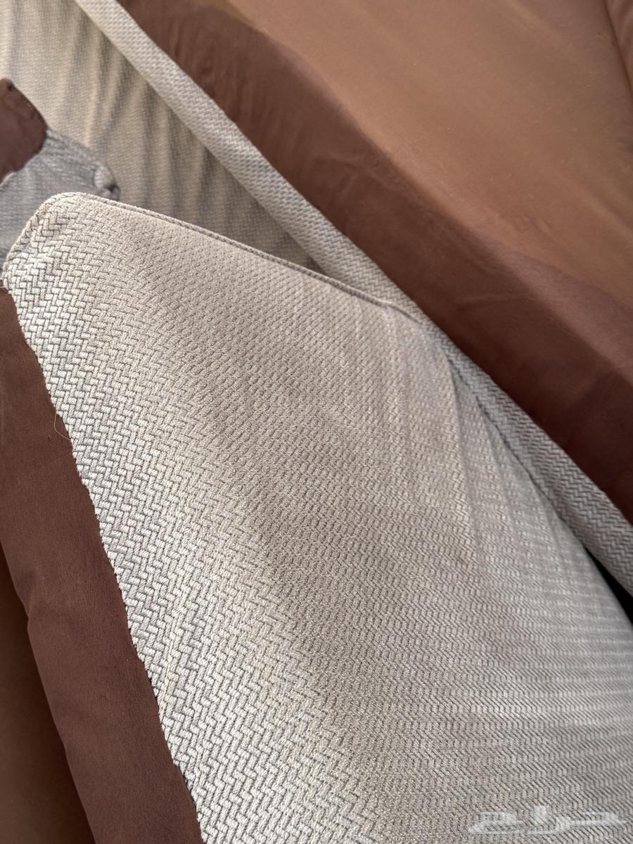 Support for the Council of Six in Five64398061316355110