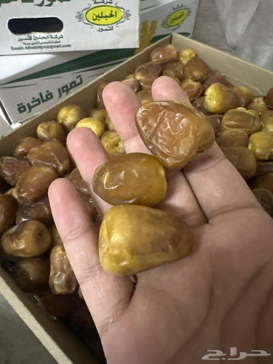 Galaxy Dates First Grade64398409593475111