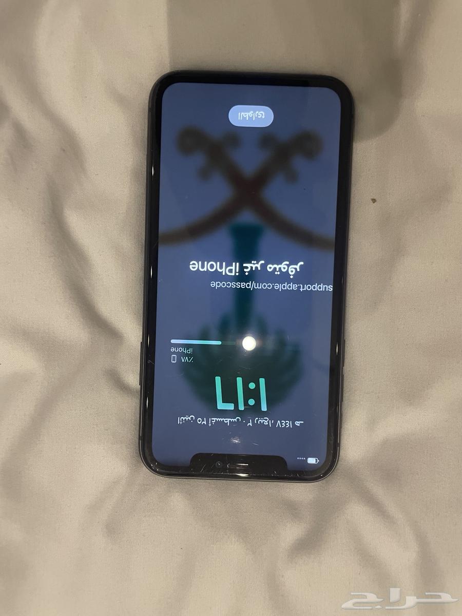 iPhone 11 Regular64393293912450111