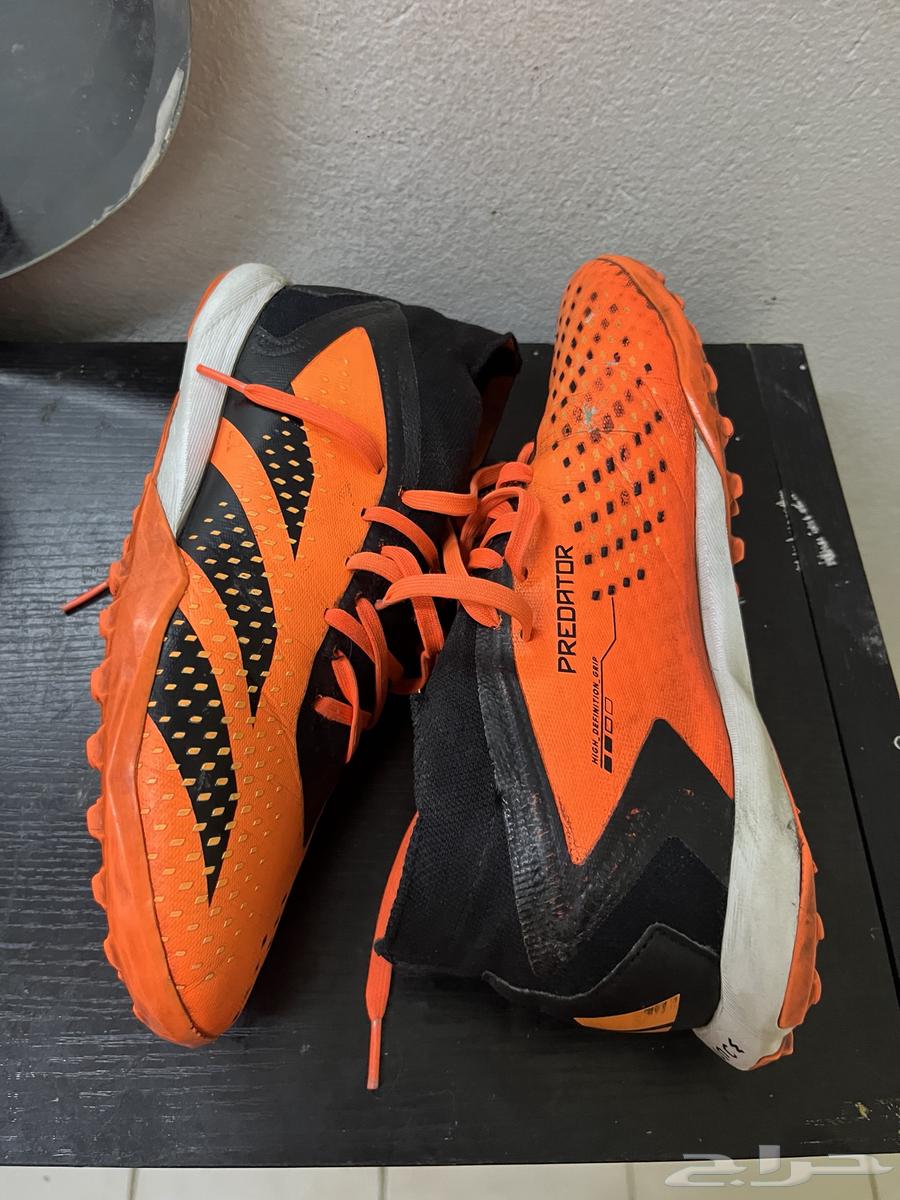 Kora Bot64396769463553110