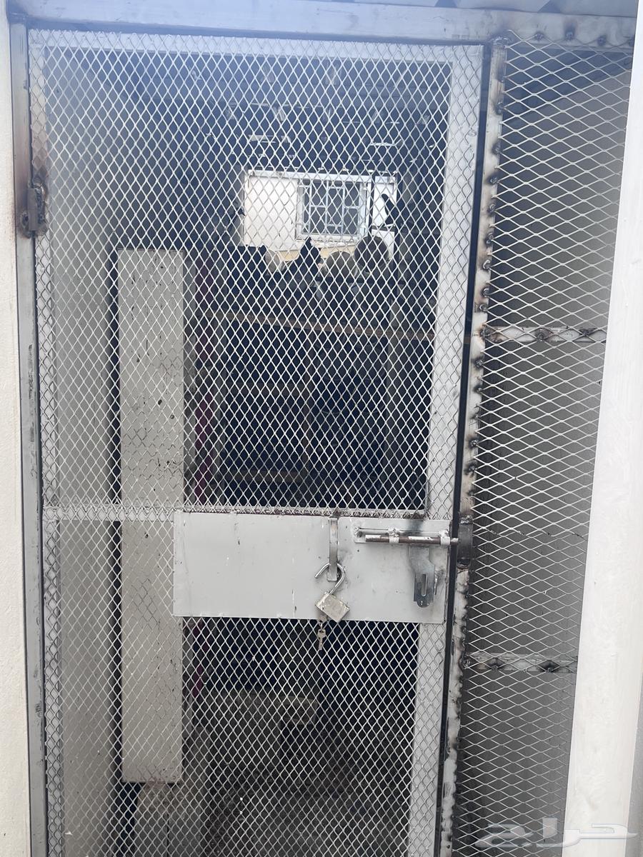 شبك حديد نظيف جدا64397811116291110