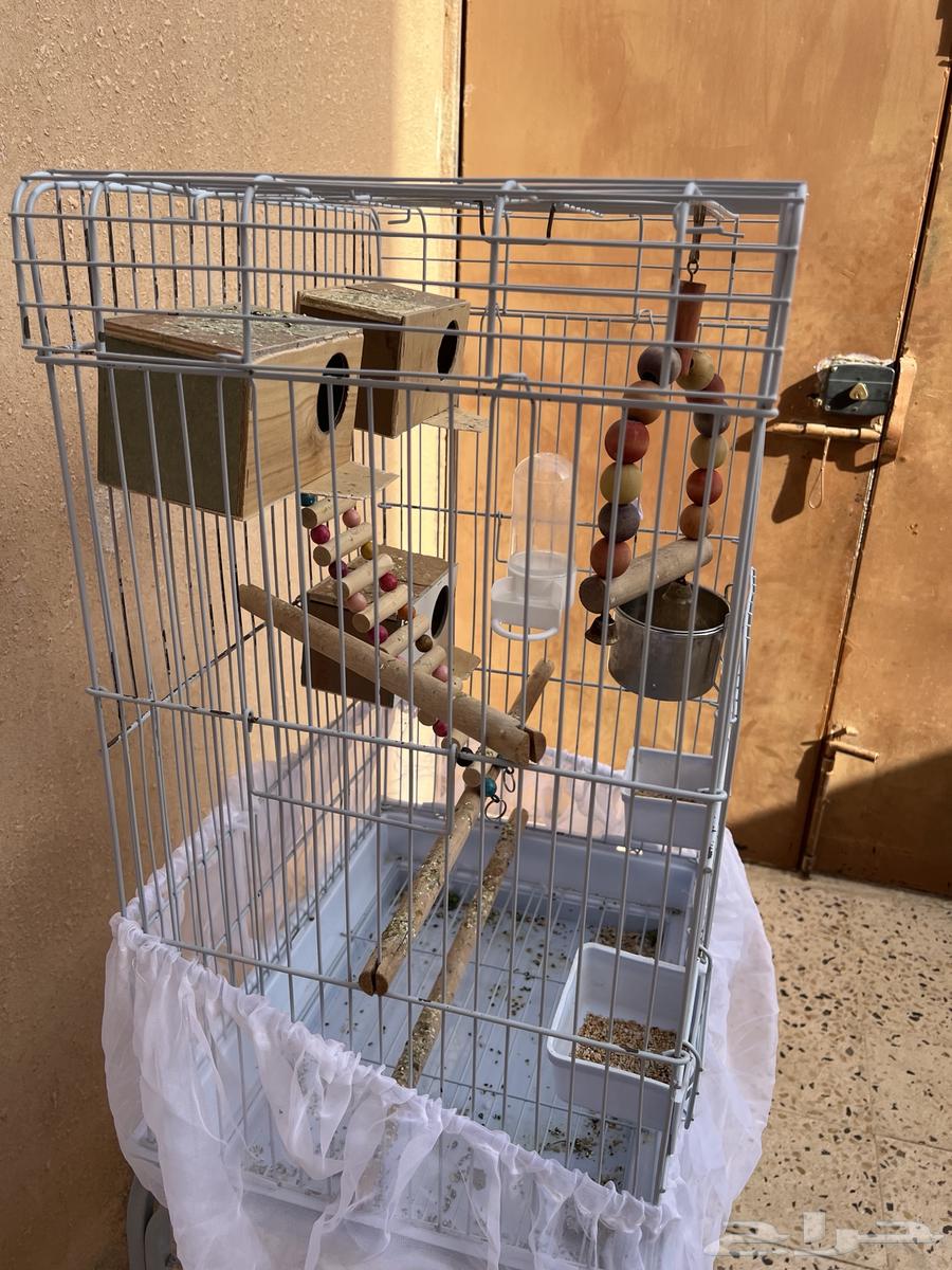 قفص كاسكو64396977286018113