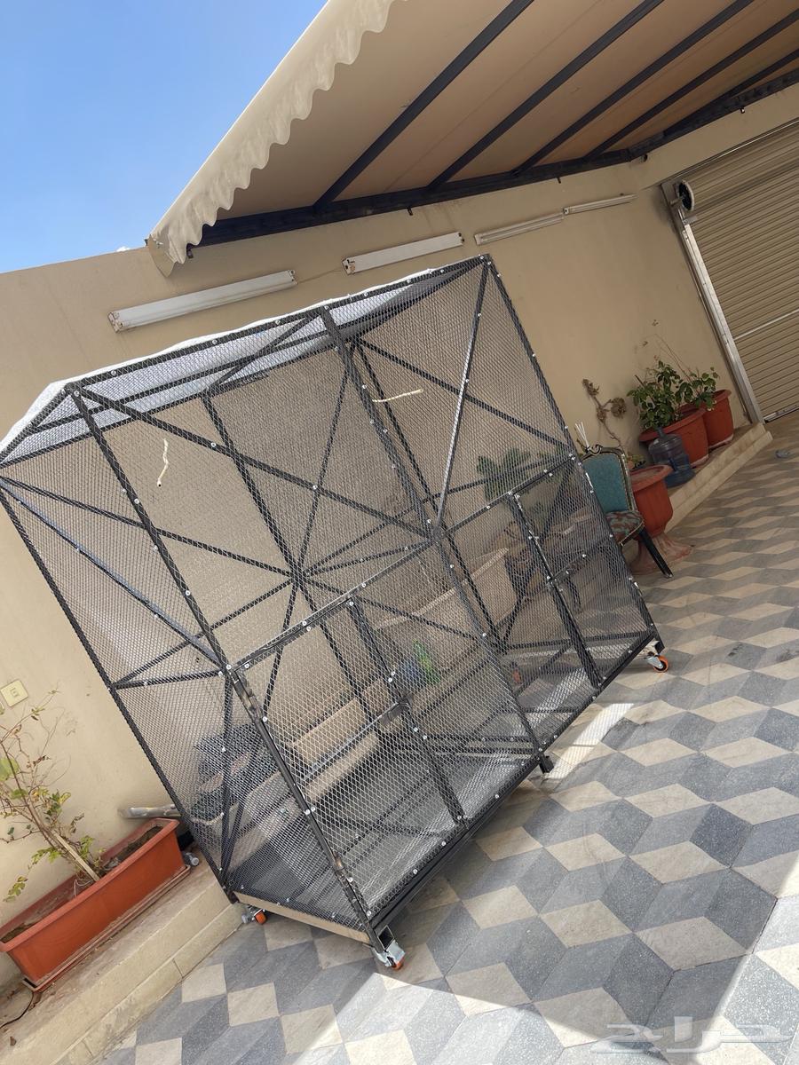 شبك طيور كبير وصغير64397116520707114