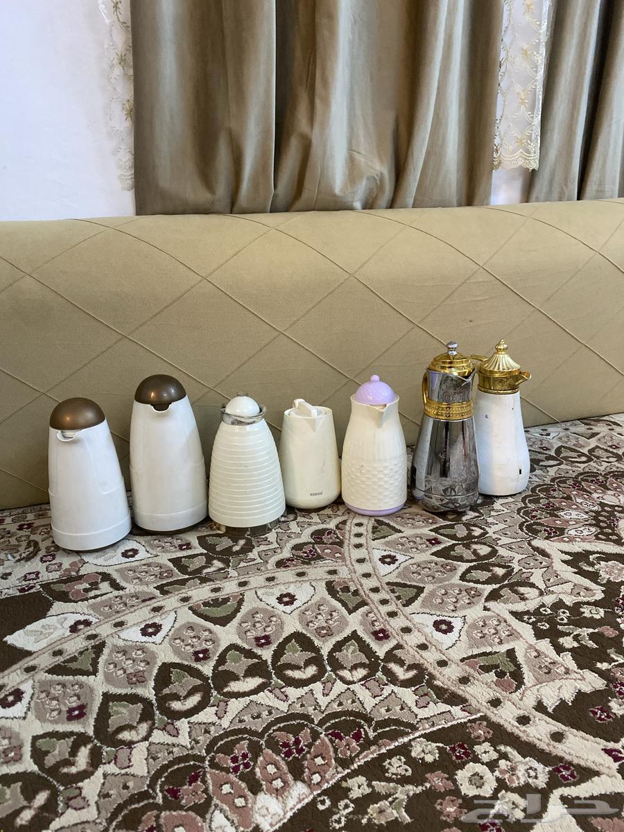 ترامز شاي الحبه على 564399898433539110