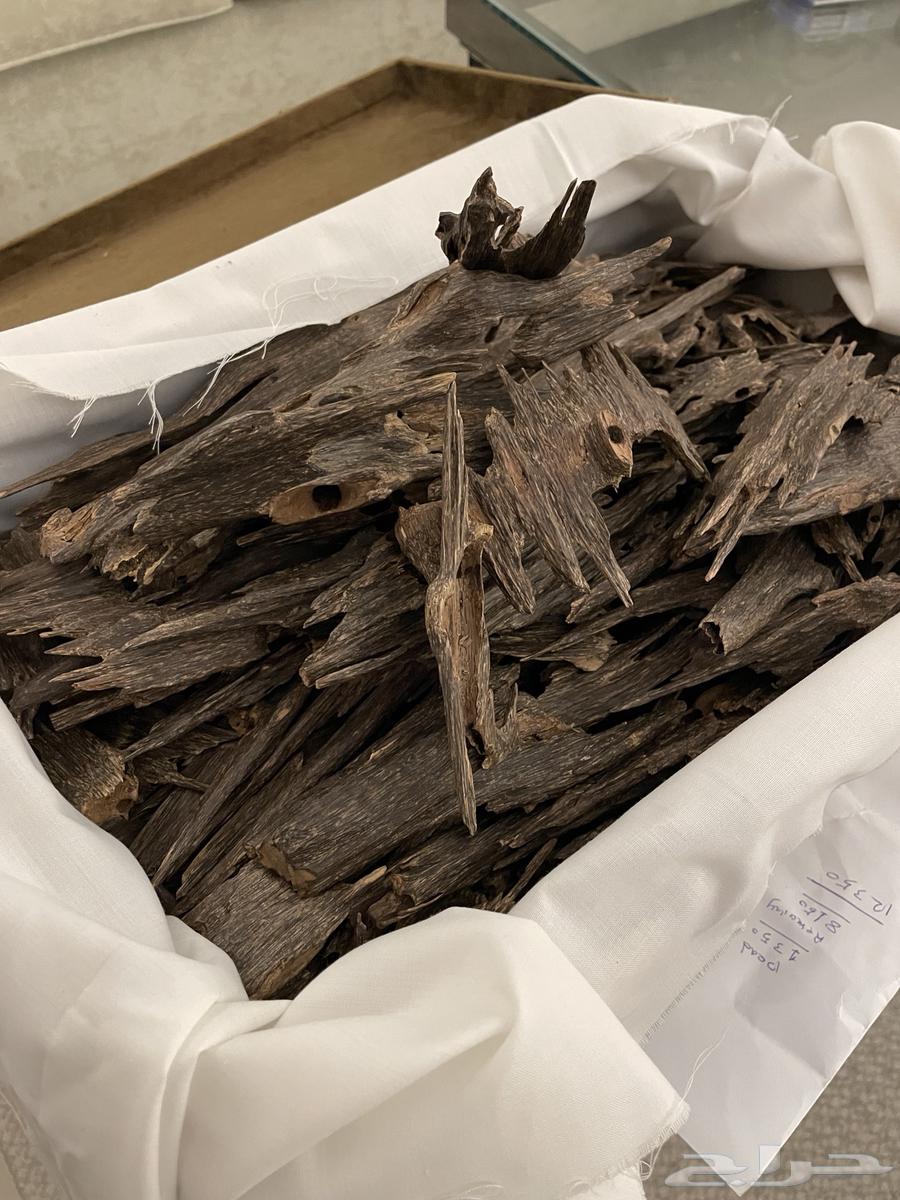 عود هندي سيوفي  درجة سوبر مرتفع64395117172611111