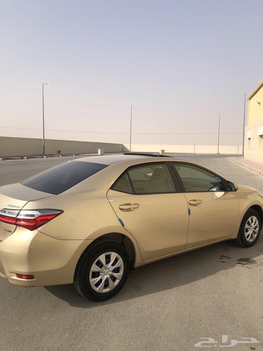 كورولا استخدام شخص واحد ( منوة المستخدم )64541850043267114