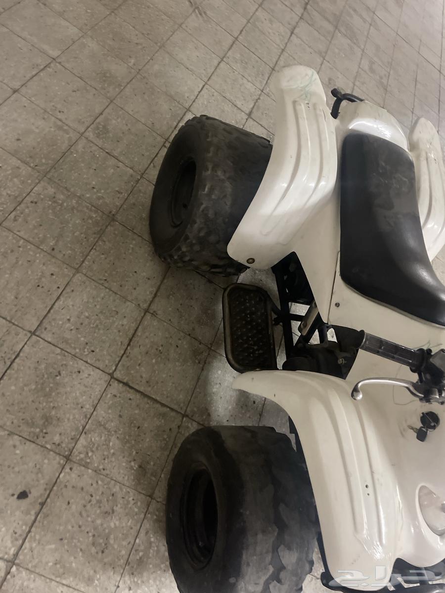 دباب للبيع64398827974529114