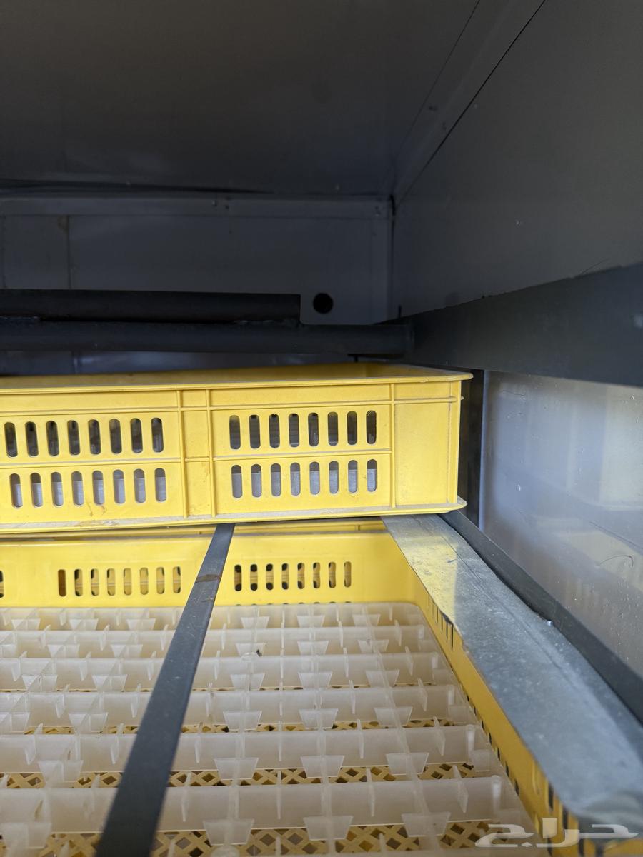 فقاسه بيض تماتيك للبيع جديد64397157921666113