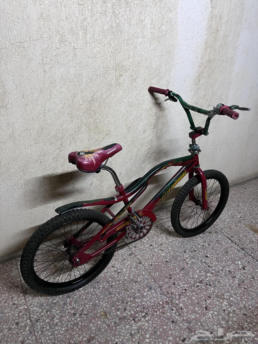 دراجه كوبرا مقاس2064399912354945112