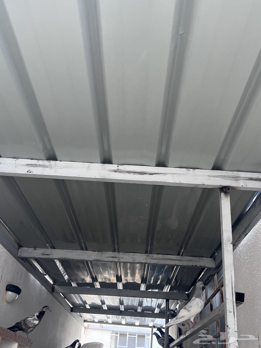 شبك حديد نظيف جدا64397811116291111