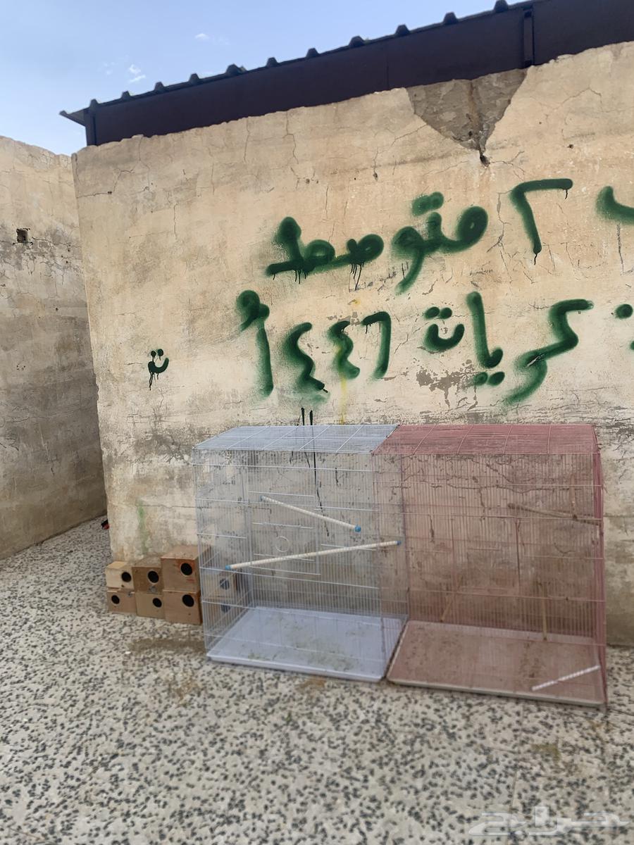 وين محبين المطير معرض لكم قفص مطير بسعر مناسب64388990753794110