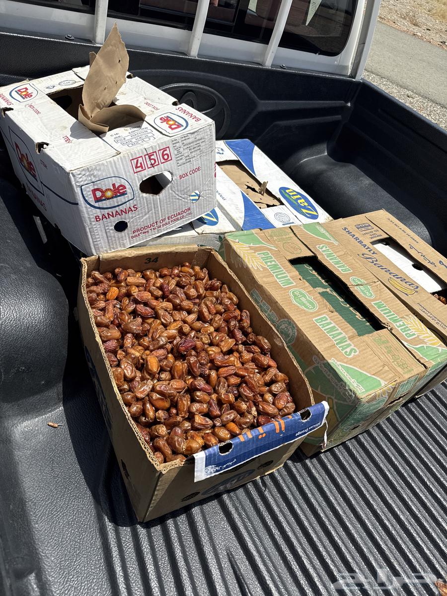 Dates for sale64397478603651110