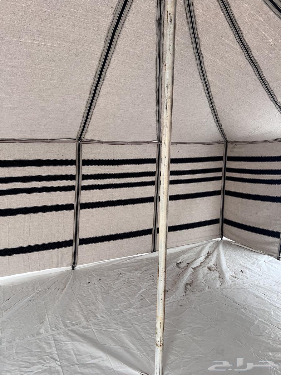 بيت شعر جديد64393073115139112