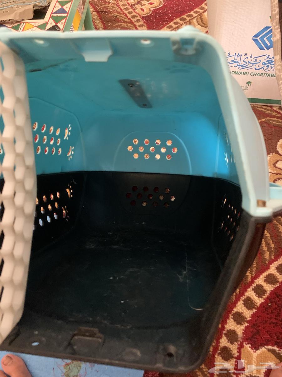 New cat litter, used only once, clean64398828029571112