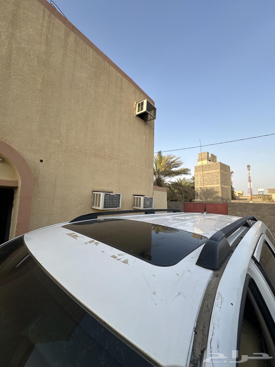 سكويا للبيع 1064551219413762112