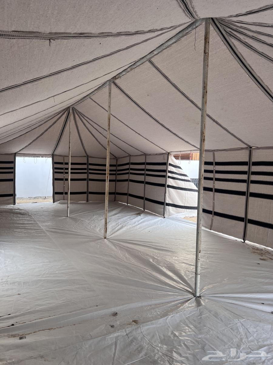 بيت شعر جديد64393073115139111