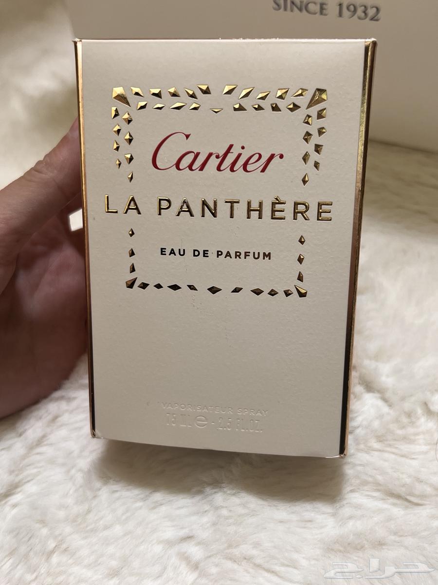 Perfumes64400897051779112