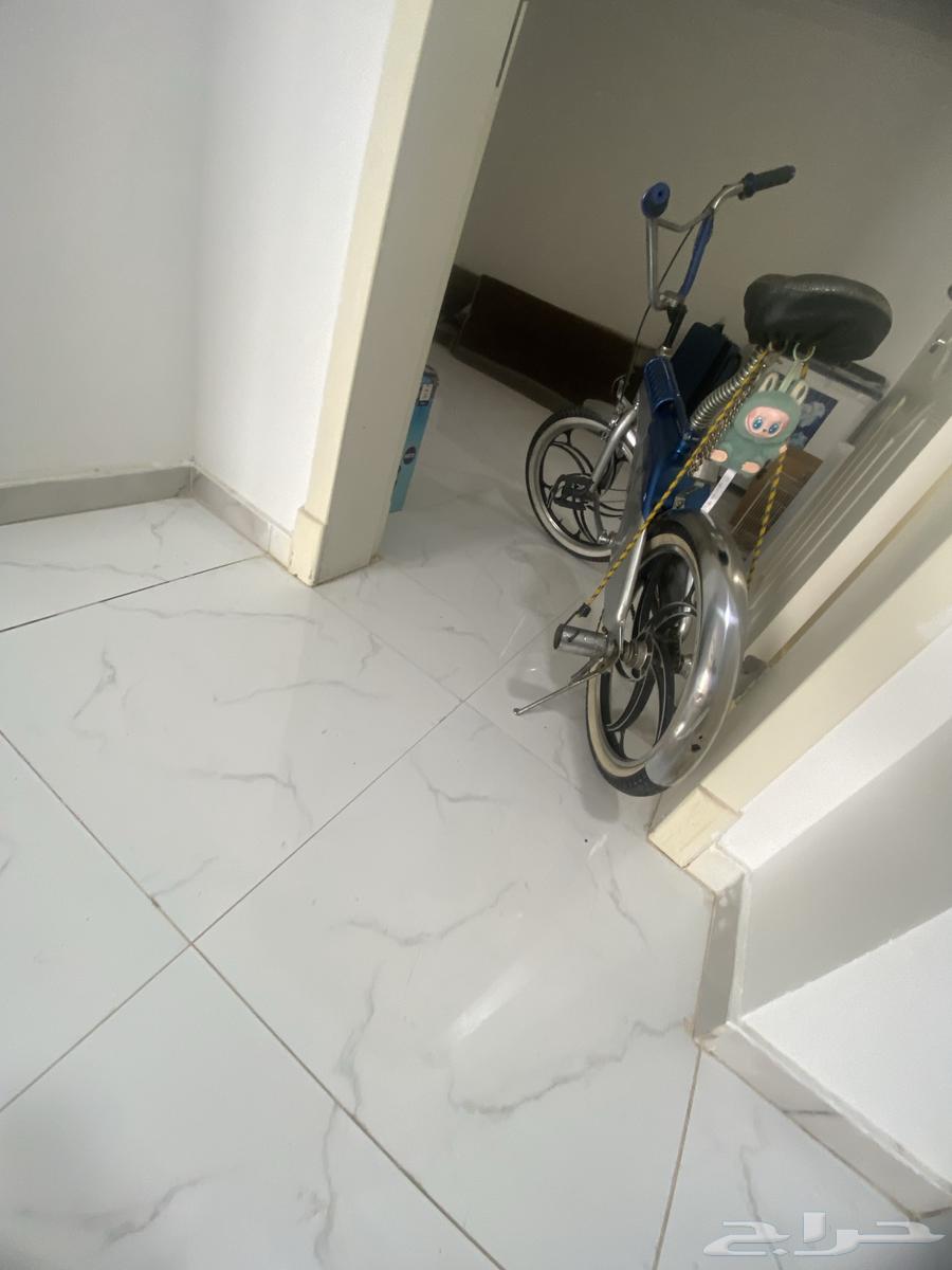 للبيع صاج اصلي سيكل مخزن نوادر64399703306369110