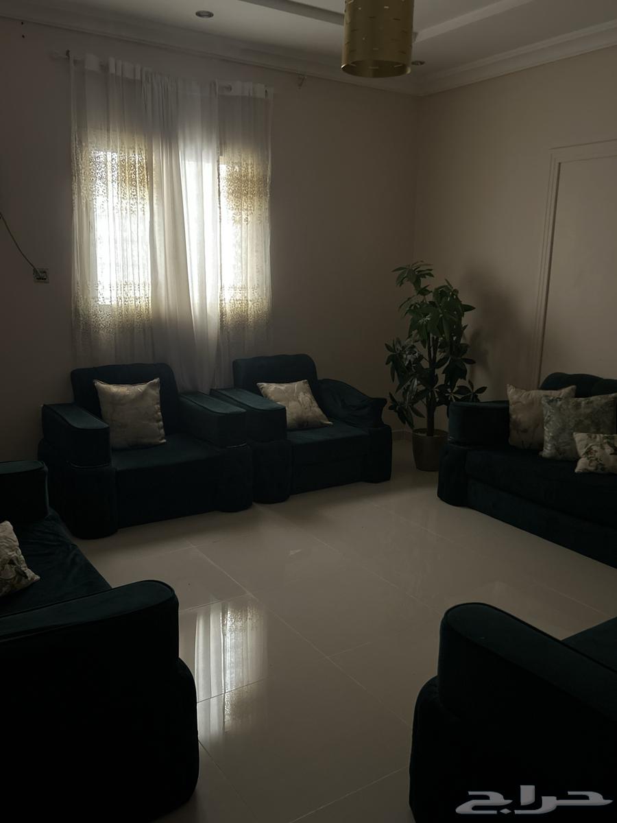 The oil couch that someone needs, take three large pieces and two small ones64397242195074110