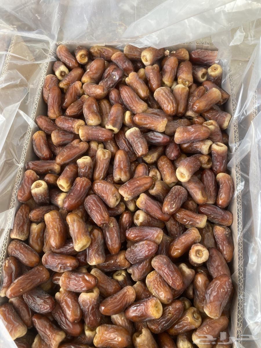 برني العيص64395545562498110