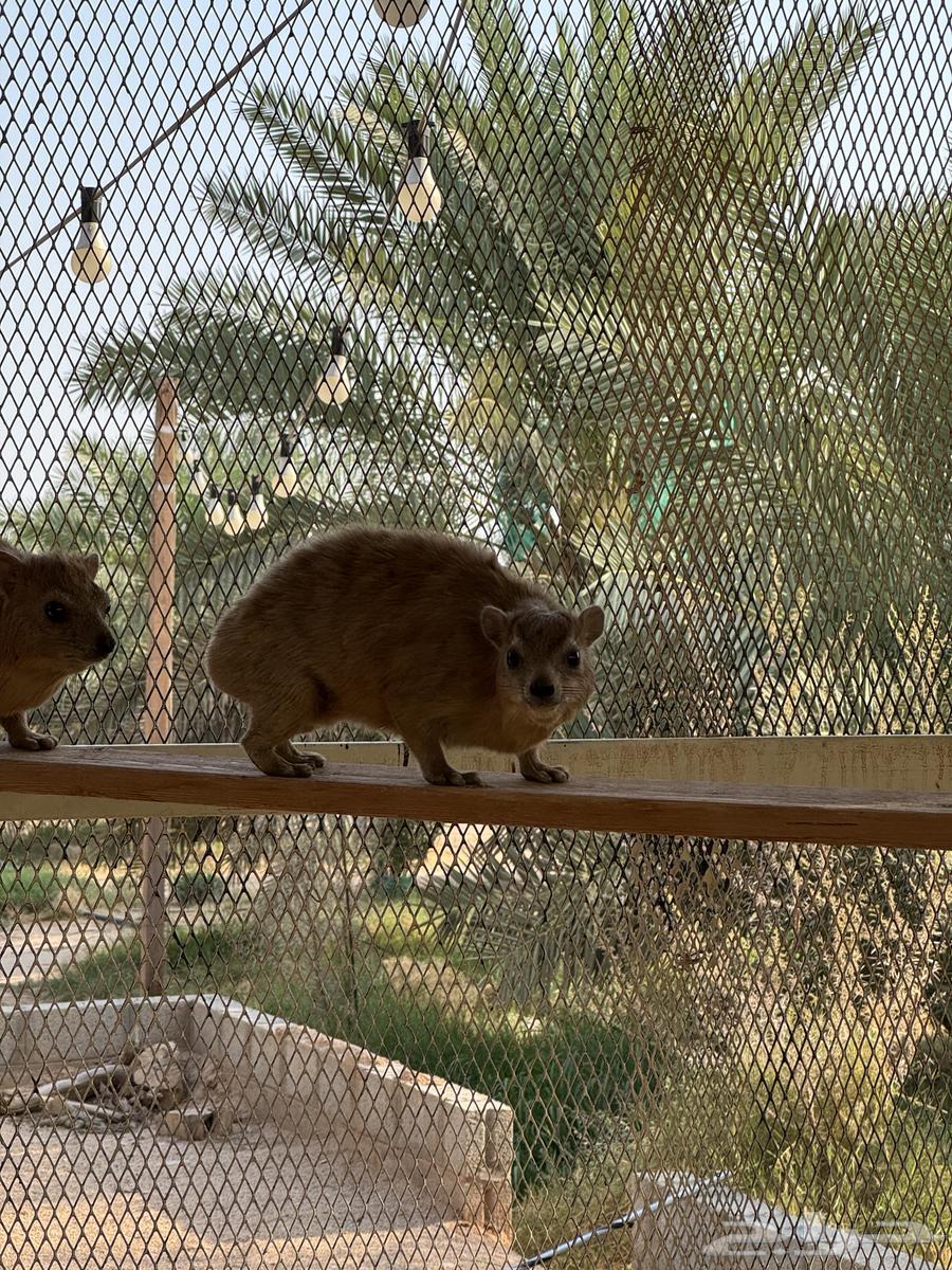 للبيع64399577483394113