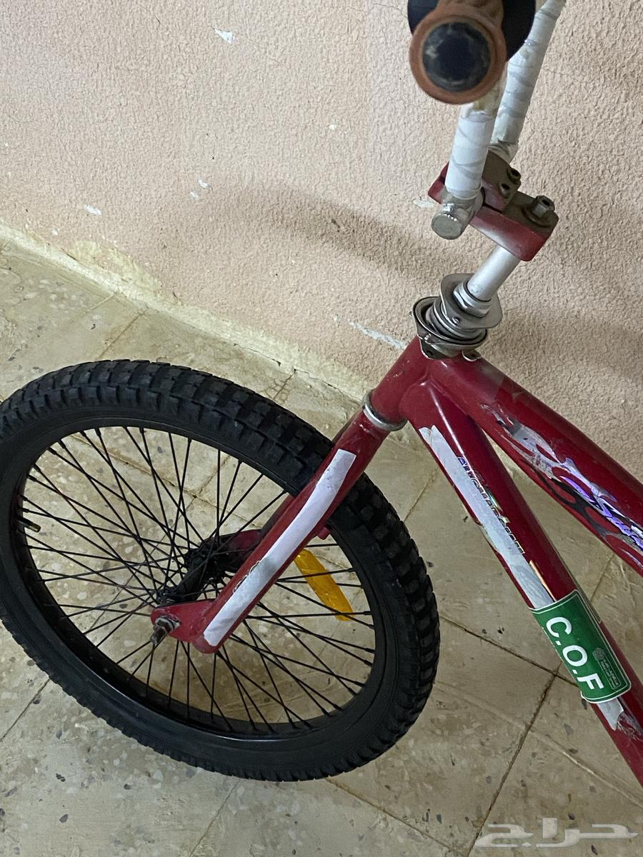 دراجه لعب64393915542019111