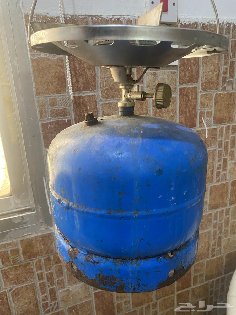 Small Daffour64395088644225111