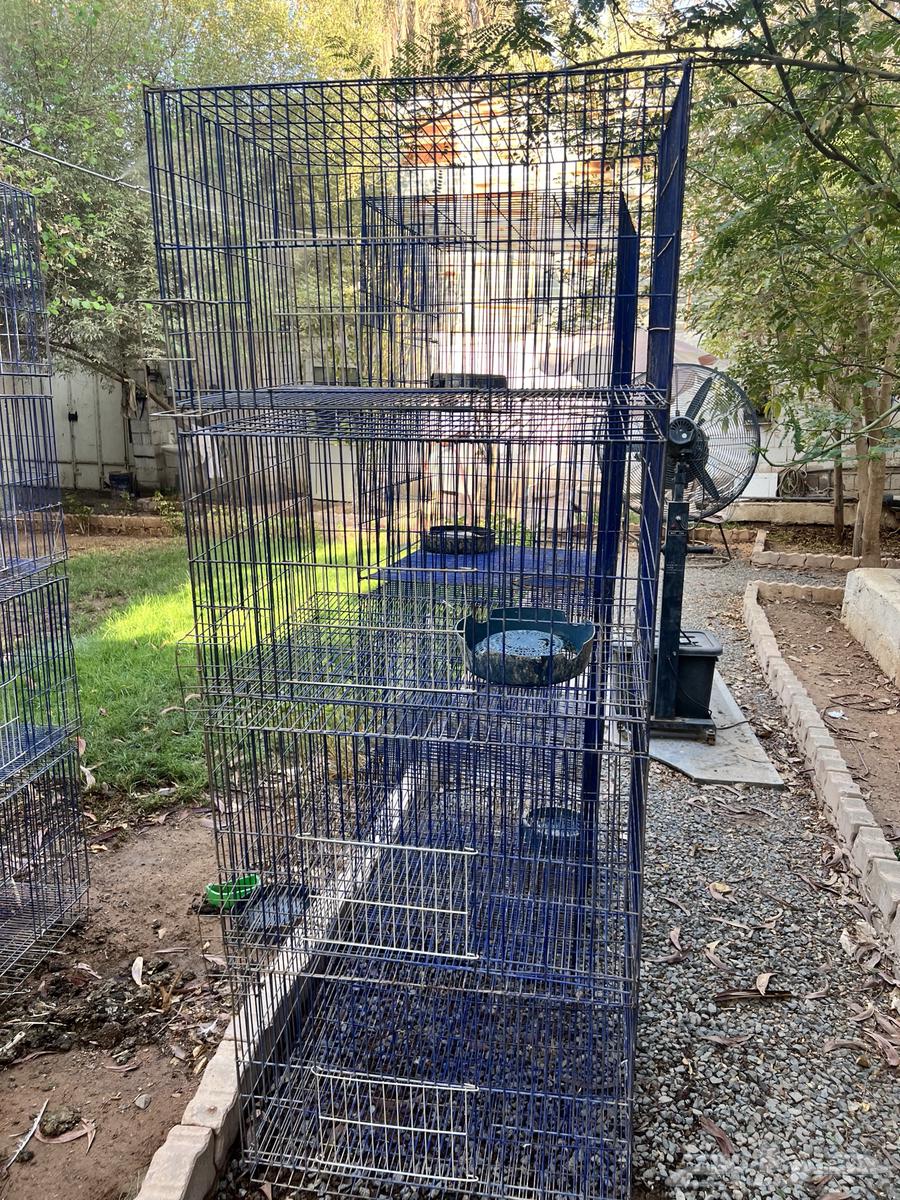 محاكر مصريه نظيفه64401077627266110