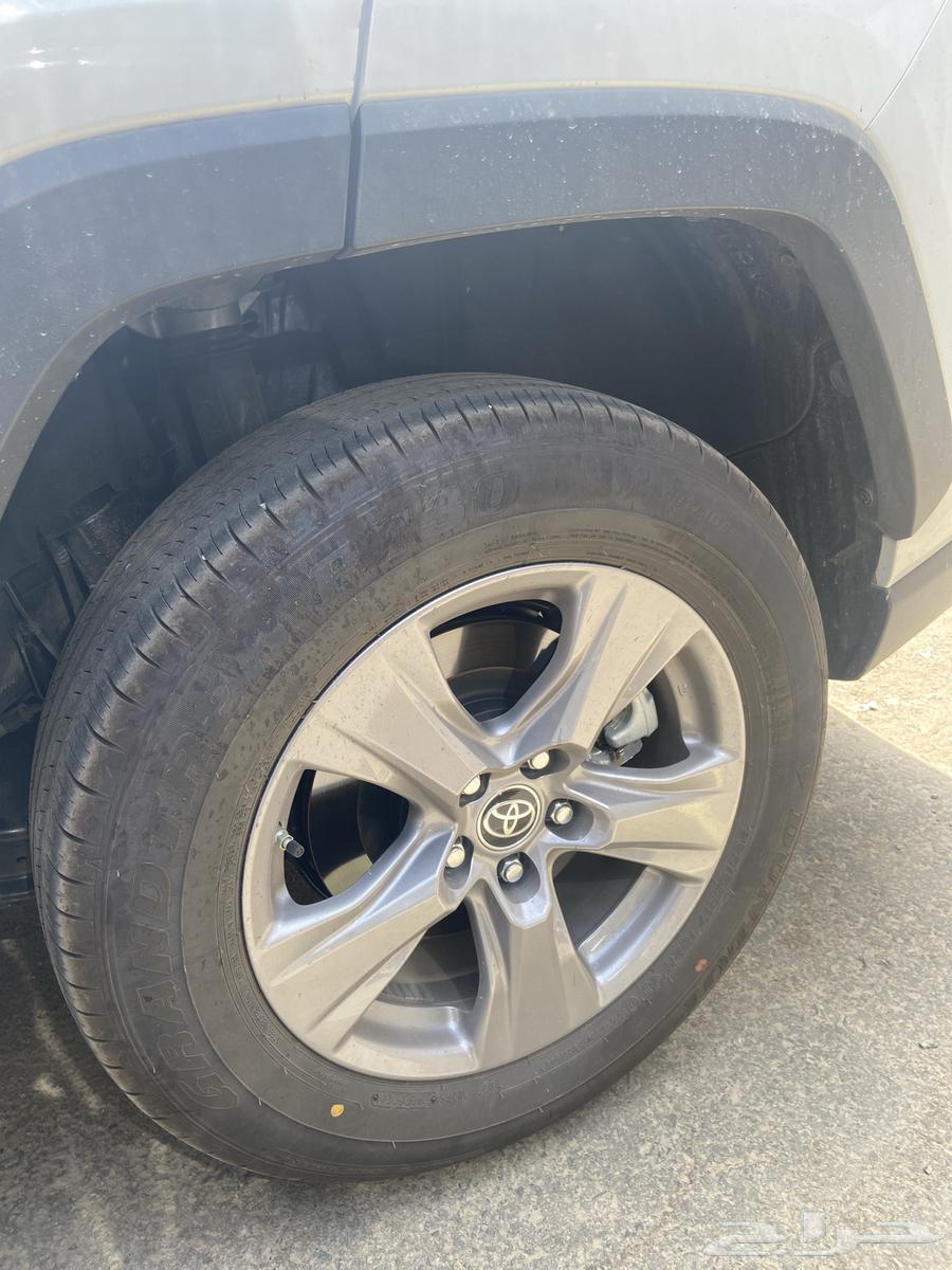 للبيع جنوط راف فور 202564544044291971110