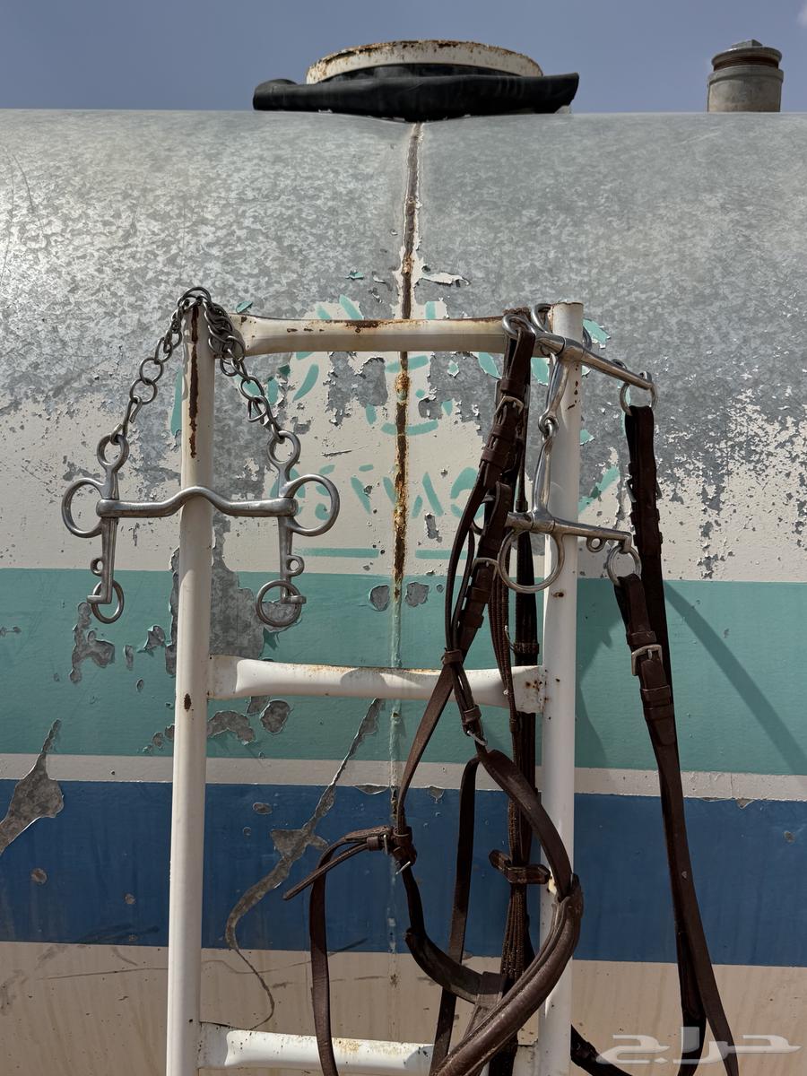 شكيمتين ولجام للبيع64398493038594110