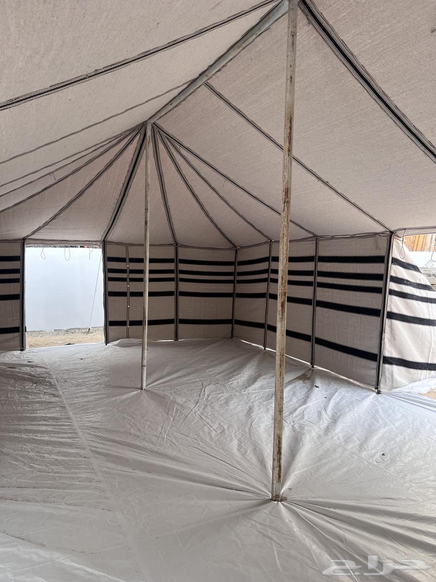 بيت شعر جديد64393073115139114