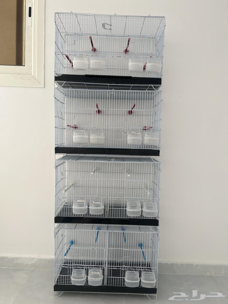 أقفاص أنتاج ابو فاصل للكناري64355112699266114