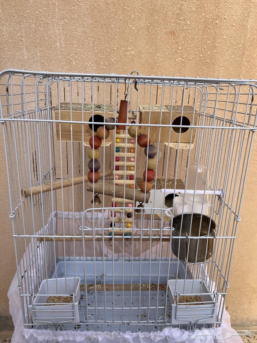 قفص كاسكو64396977286018114