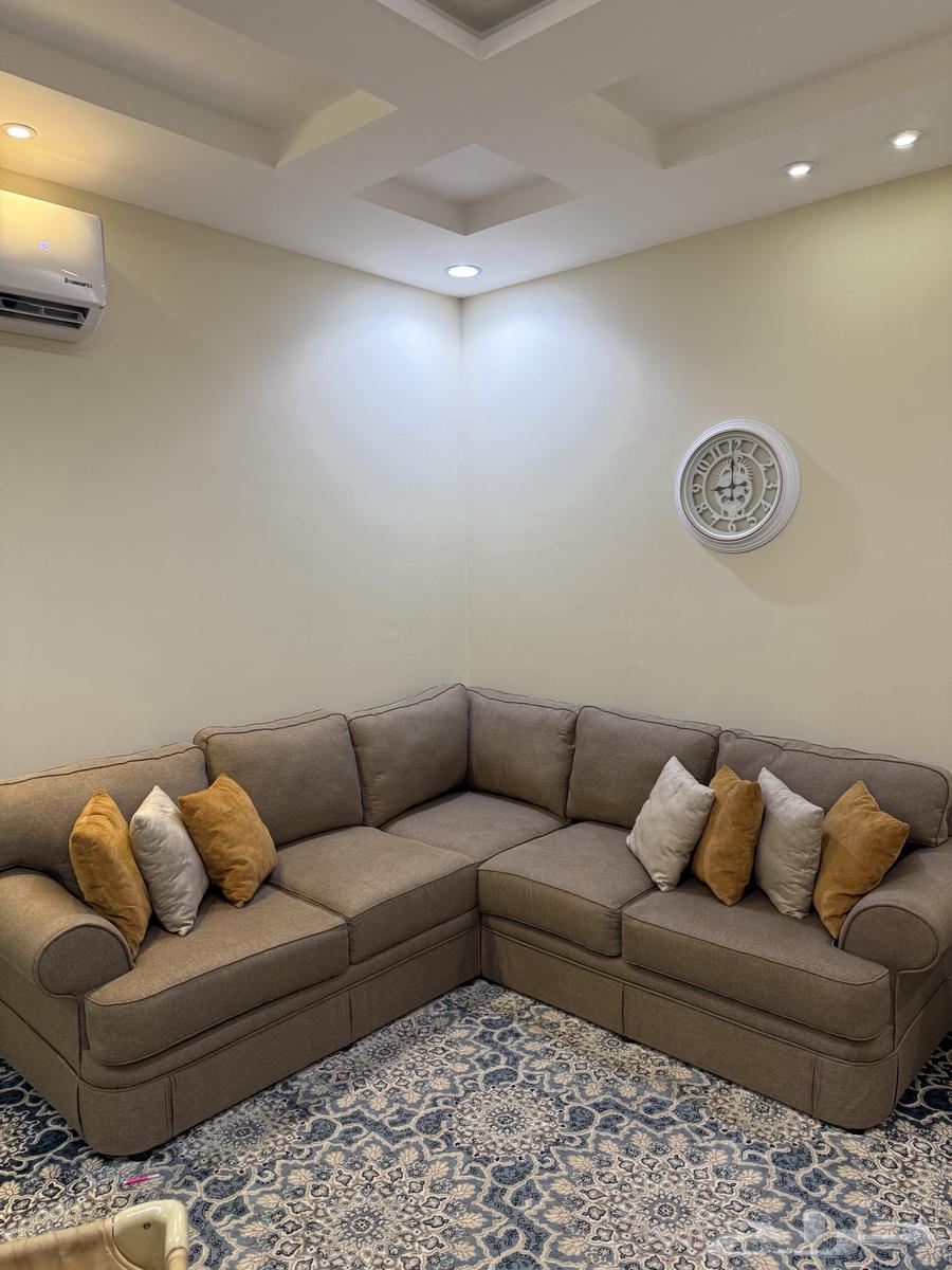 كنب أمريكي64376614869250112