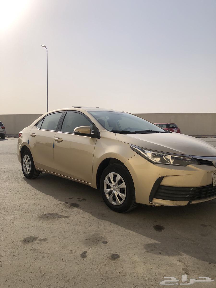 كورولا استخدام شخص واحد ( منوة المستخدم )64541850043267113