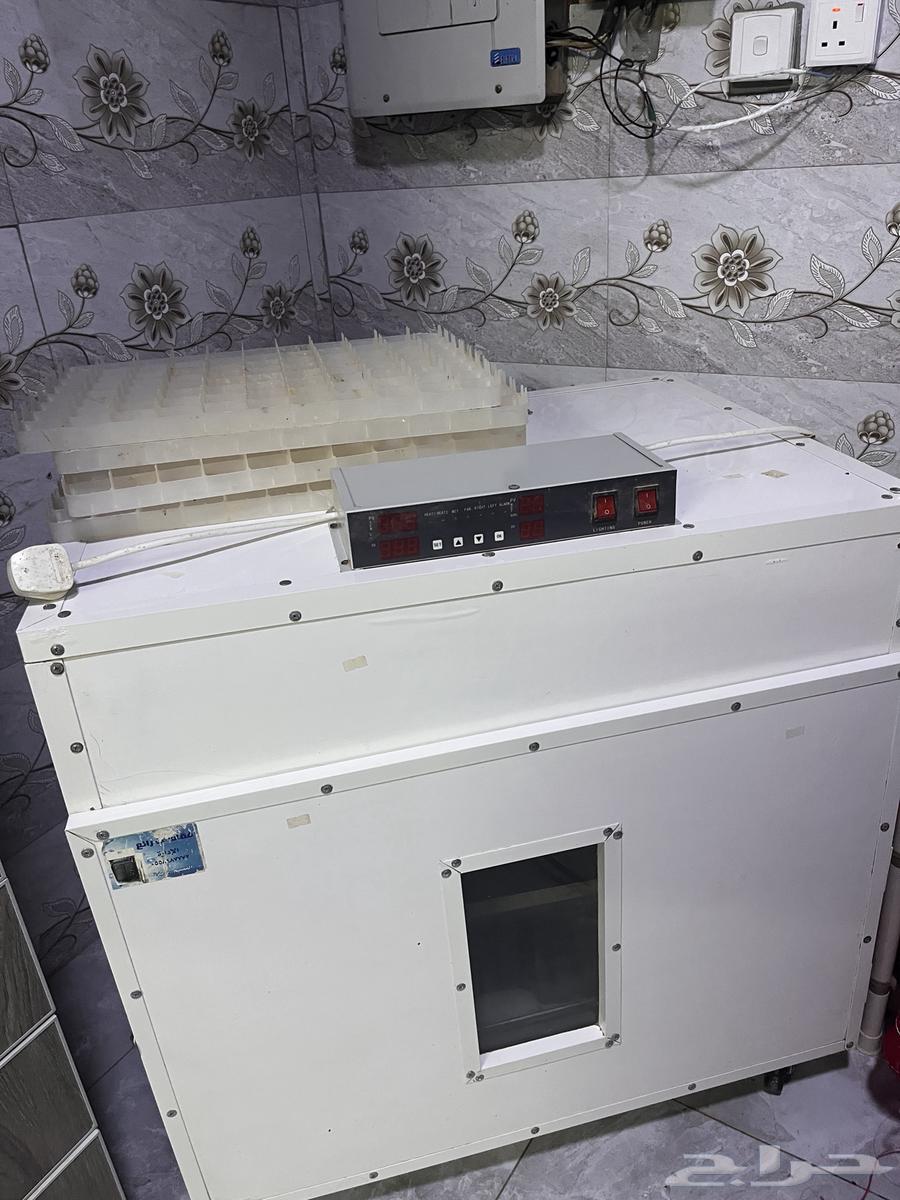 Automatic incubator64399410993793113
