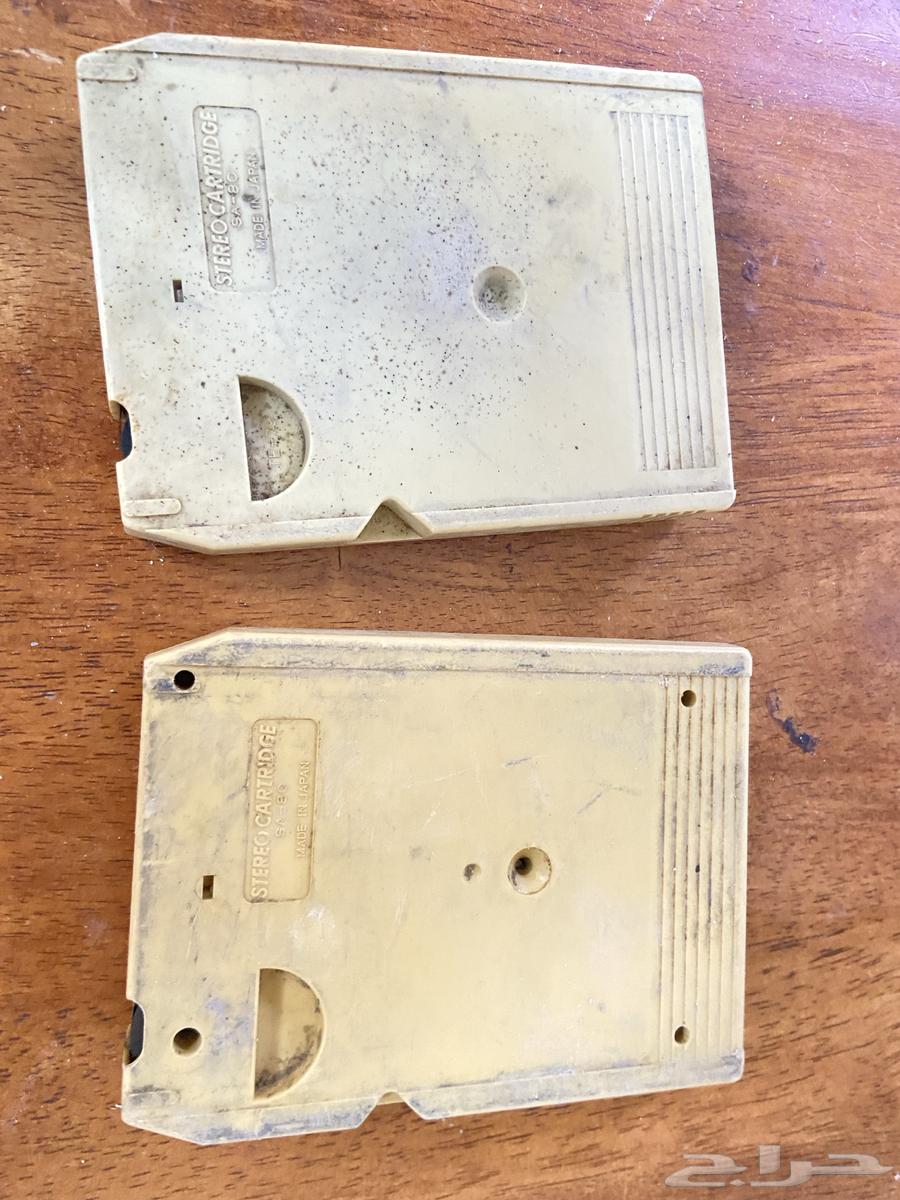 Caterpillar Track Number 264401188945411112